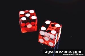AG真人 agscorezone